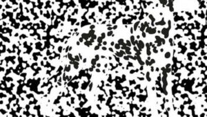 Test visivo: mettete alla prova i vostri occhi individuando l’animale nascosto nell’immagine
