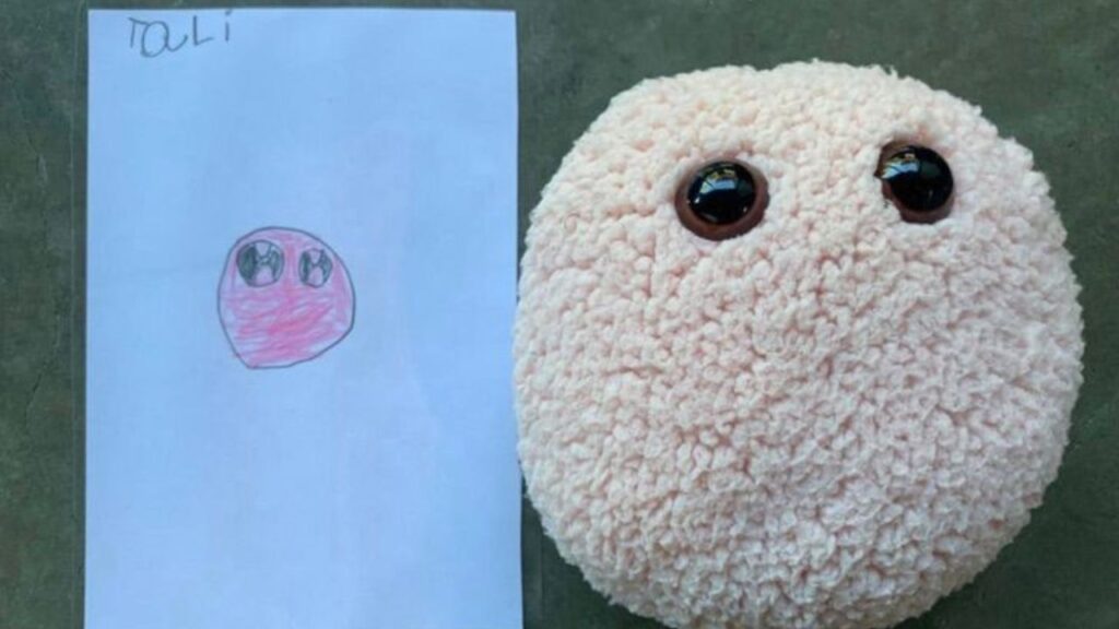 disegni peluche 