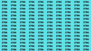 Trova il numero 2789 nascosto tra i vari 2786 in soli 10 secondi