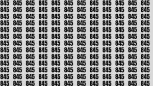 Test visivo: tra gli 845 si nasconde il numero 825. Se lo trovi in 12 secondi hai una vista fuori dal comune
