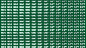 Trova il numero 987 nascosto nell’immagine in soli 14 secondi e dimostra di essere un cervellone