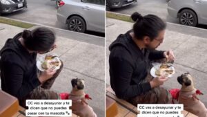 Ristorante vieta l’ingresso alla cagnolina: il padrone decide di mangiare fuori con lei (VIDEO)