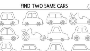 Hai solo 7 secondi per individuare le due auto uguali nell’immagine