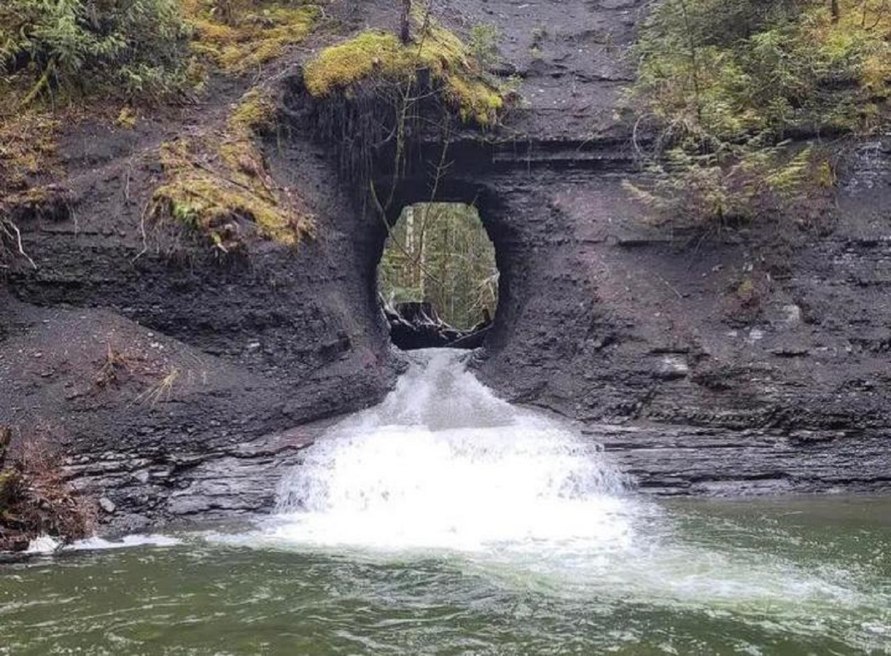 paesaggio naturale