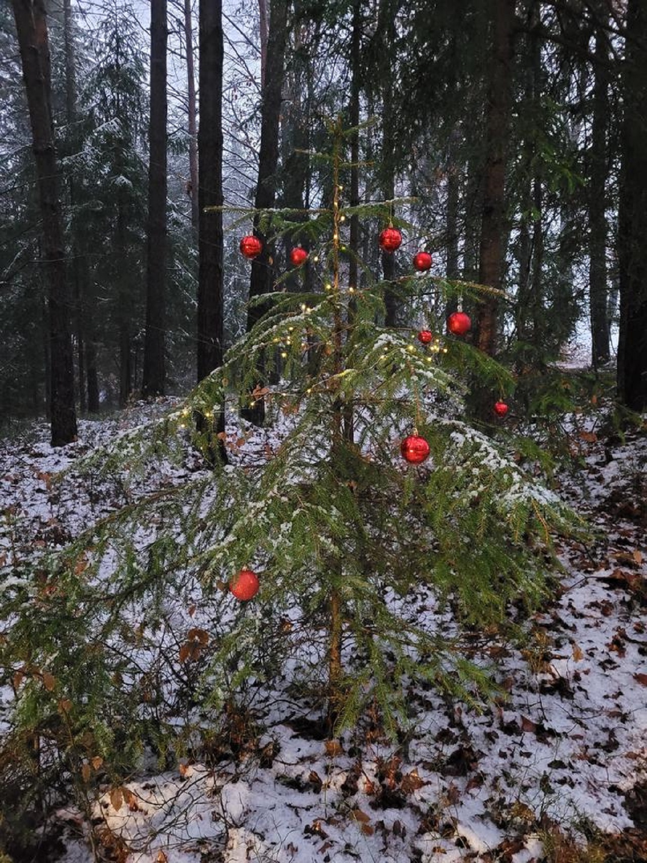 albero decorato