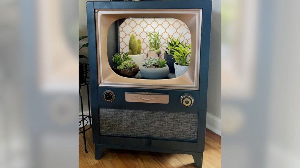 Vecchio televisore allestito a serra