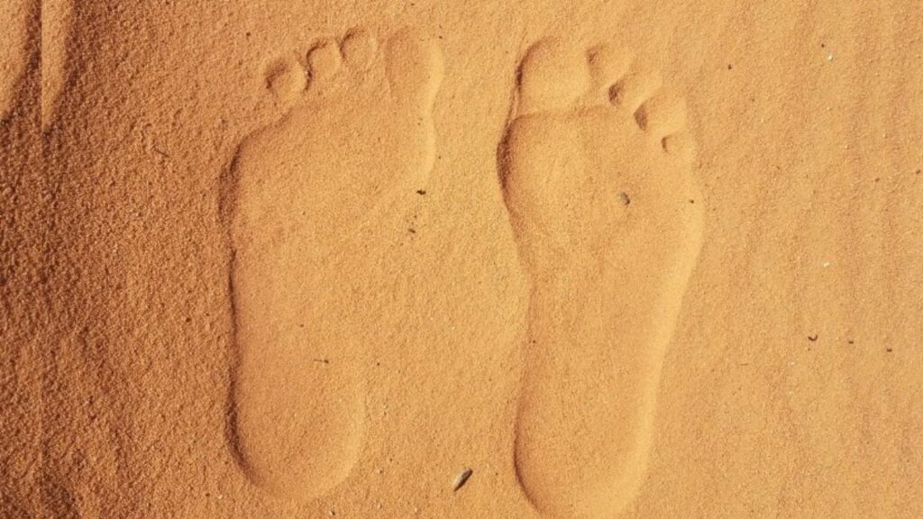 Impronte di piedi