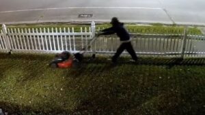 Ladro ruba il tosaerba ma prima di scappare taglia l’erba del giardino (VIDEO)