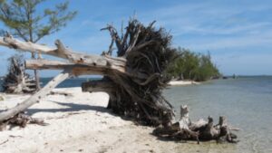 6 adolescenti rubano una barca e finiscono su un’isola deserta: il loro ritrovamento avviene dopo 15 mesi.